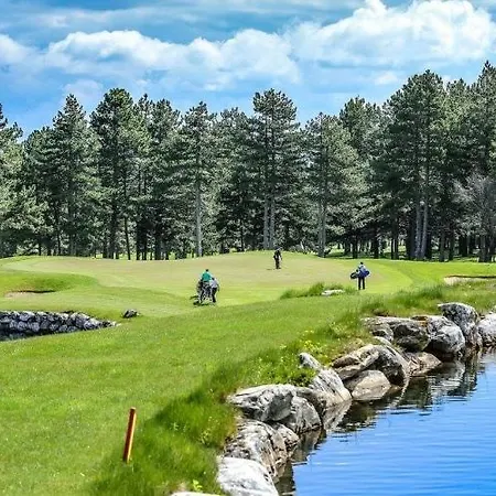 Three Mountains Penthouse 647 Appartement Razlog